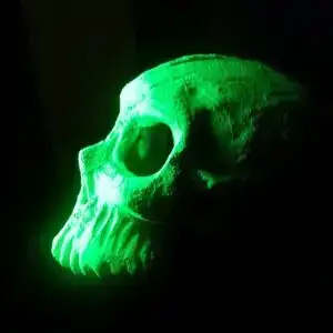 Fluxus Skull A special photo of a ceramic skull cover of a photoluminescent and phosphorescent surface painting