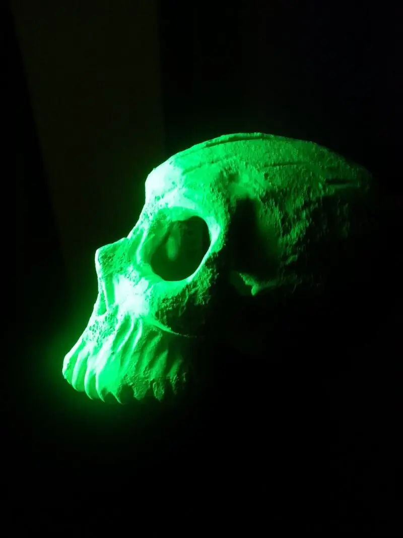 Fluxus Skull A special photo of a ceramic skull cover of a photoluminescent and phosphorescent surface painting