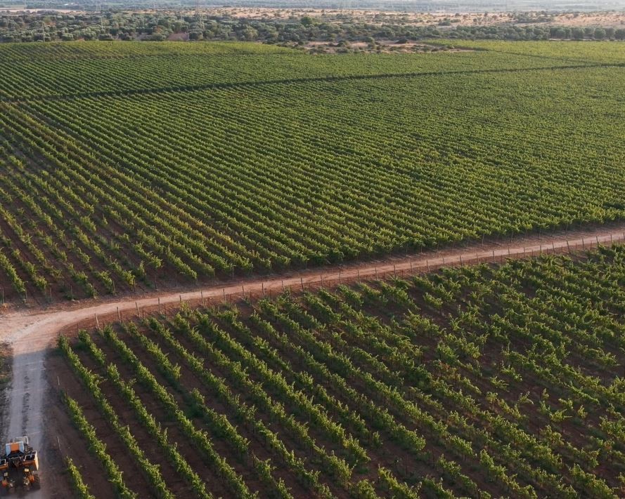 Immagine-cover-opzione-3 - Artistinct - This is Art