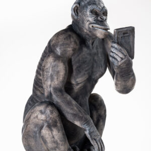 Olympus Digital Camera - Artistinct - This is Art