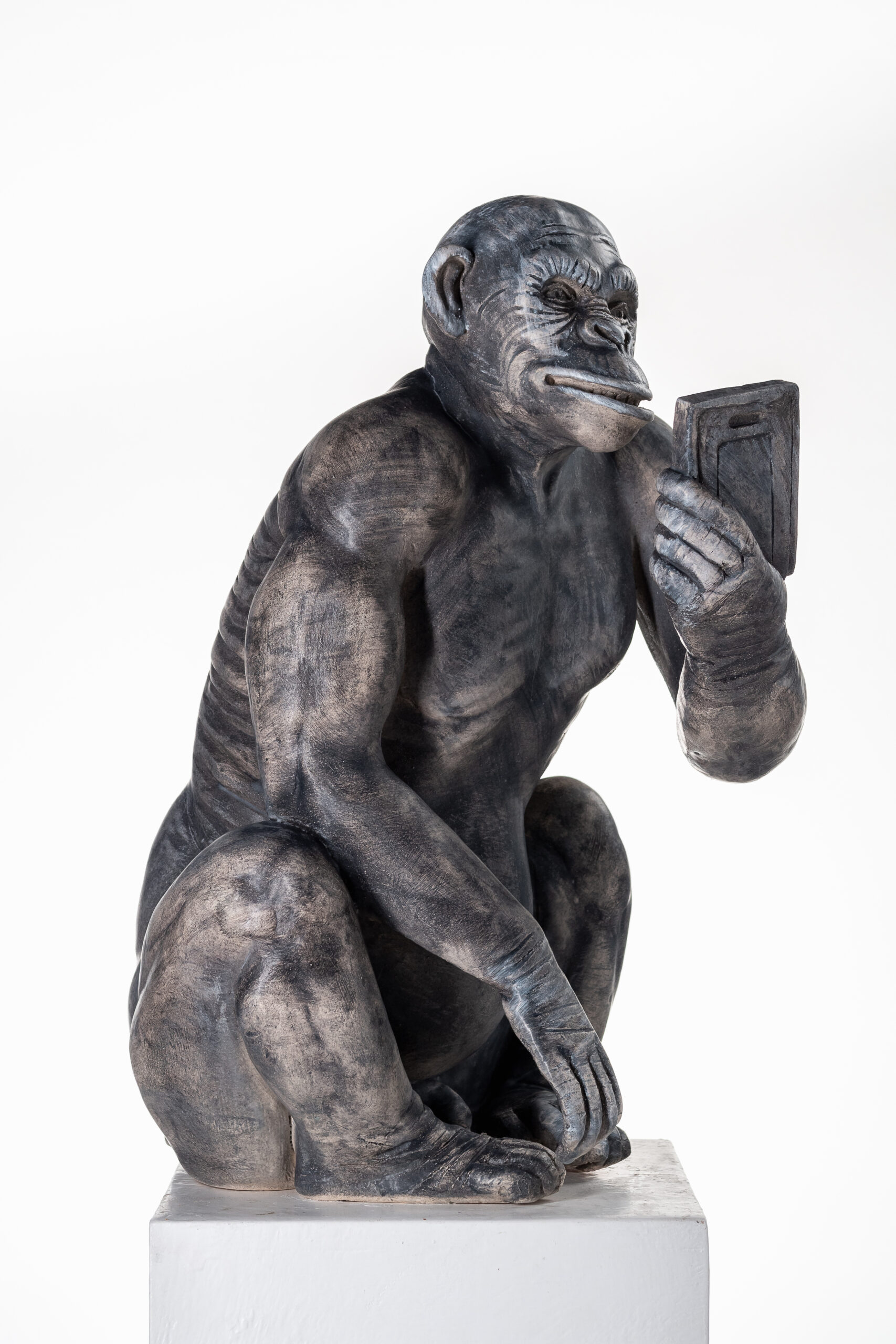 Olympus Digital Camera - Artistinct - This is Art