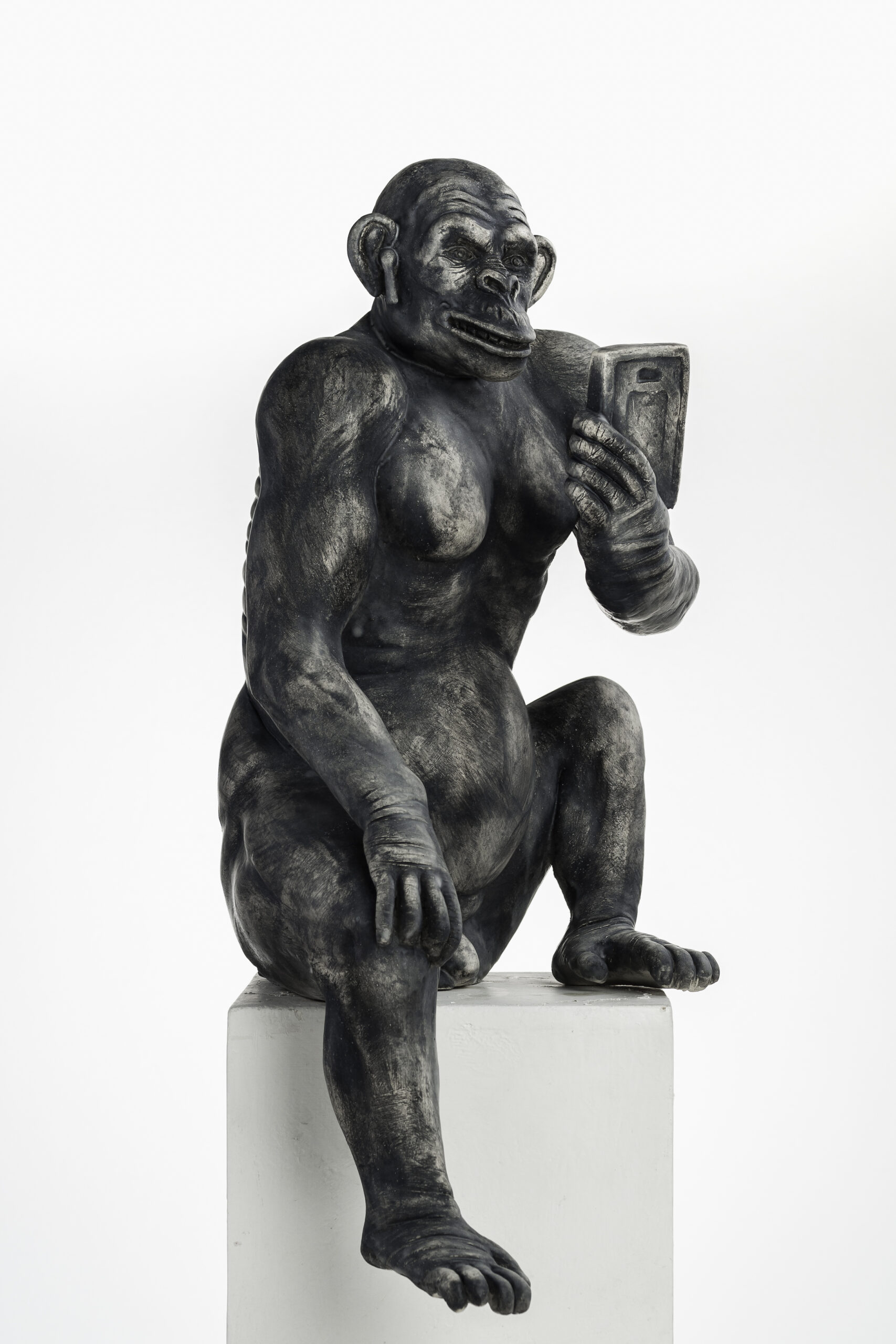 Olympus Digital Camera - Artistinct - This is Art