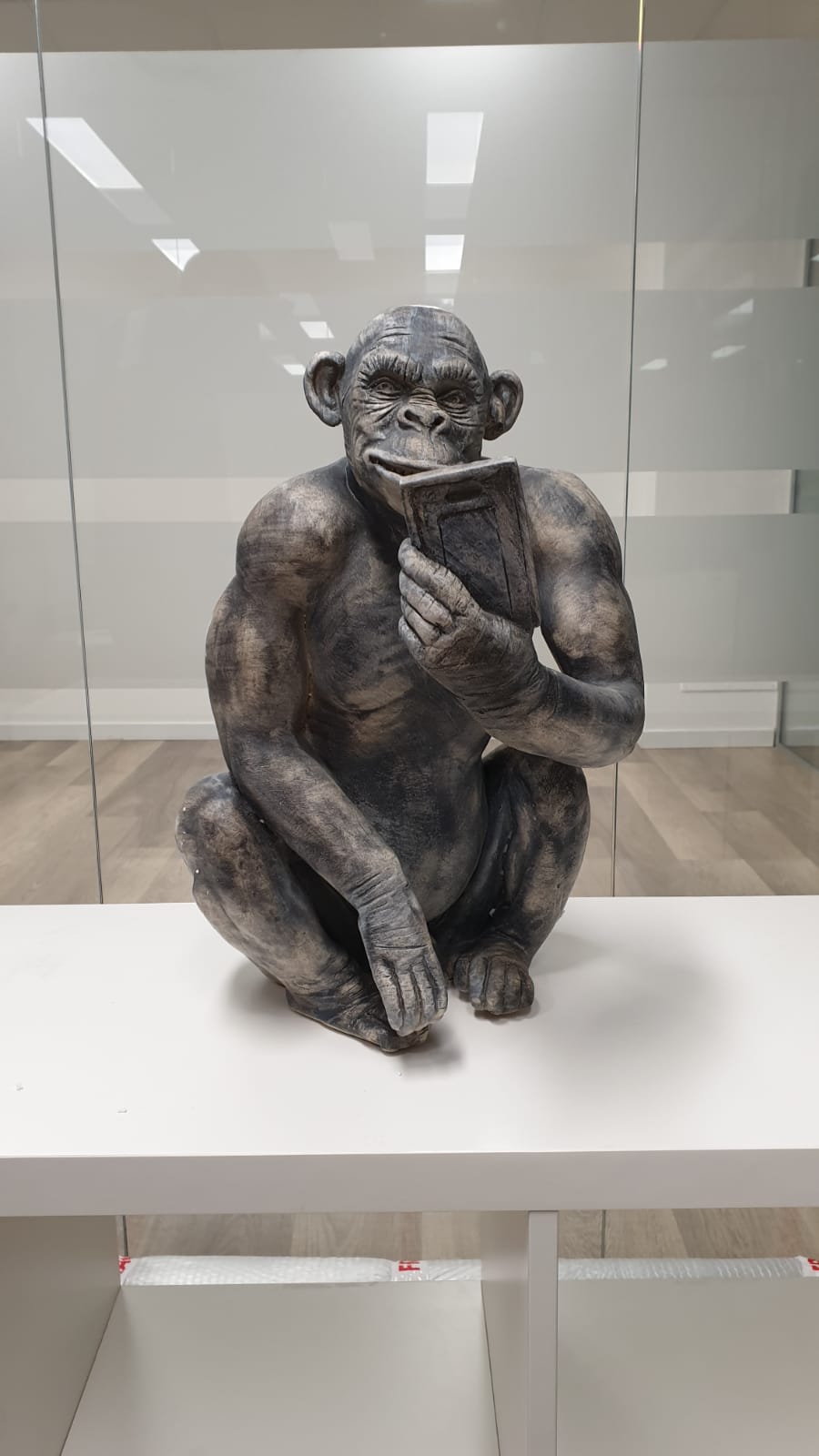 Scimmia 1 - Artistinct - This is Art